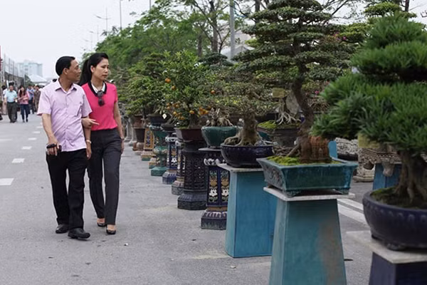 Đây là lần đầu tiên, người dân Hà Nội có cơ hội thảnh thơi ngắm nhìn bộ sưu tập cây cảnh phong phú và đa dạng hàng đầu Việt Nam.