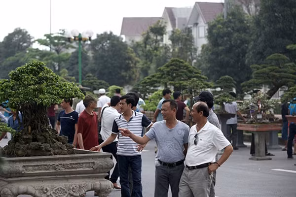Bên cạnh những tác phẩm cây cảnh với đủ các tiêu chí khủng như “đắt nhất Việt Nam”, “cổ nhất châu Á”….du khách còn có cơ hội chiêm ngưỡng những tác phẩm được cây cảnh làm bằng đá quý, bộ sưu tập gỗ lũa quý giá với hình dáng độc đáo và cả những tác phẩm tiểu cảnh tinh tế.
