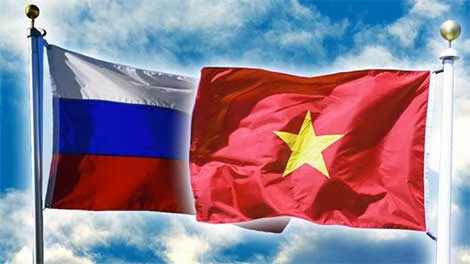 Bộ trưởng Ngoại giao Bùi Thanh Sơn hội kiến với Phó Thủ tướng Nga Dmitry Chernyshenko ảnh 3