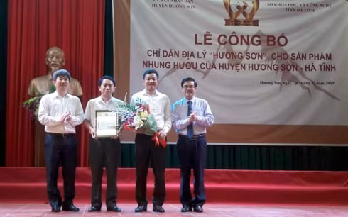 Công bố chỉ dẫn địa lý nhung hươu Hương Sơn