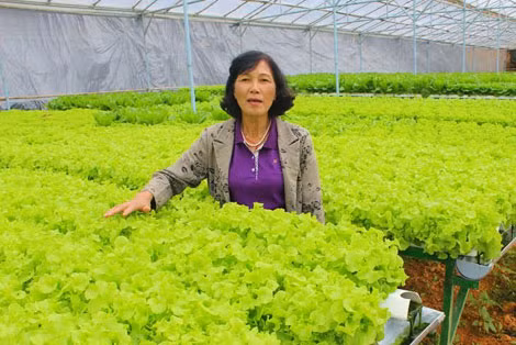 Bà Phạm Thị Cúc bên vườn rau thủy canh theo công nghệ Châu Âu của gia đình mình.