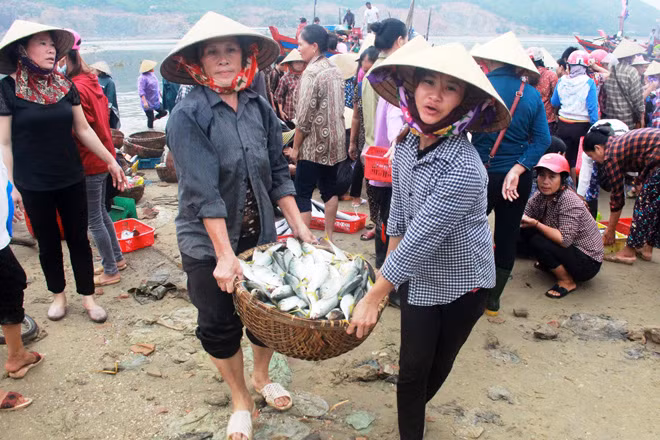 Nhiều ngư dân Hà Tĩnh đề nghị cơ quan chức năng xử lý nghiêm tàu giã cào để bảo vệ nguồn lợi thủy hải sản, và cuộc sống gắn với nghề biển của ngư dân.