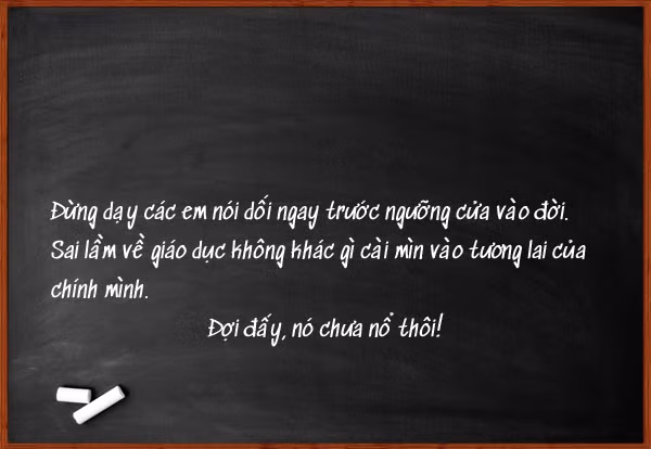 Đừng "cài mìn" vào tương lai đất nước ảnh 12