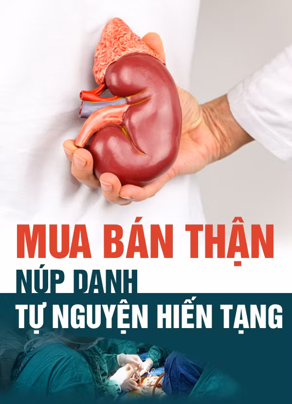 Mua bán thận núp danh tự nguyện hiến tạng ảnh 1