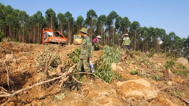 Khu đất xảy ra tranh chấp.