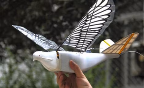 UAV hình chim bồ câu đang được cảnh sát Trung Quốc sử dụng. Ảnh: Getty.