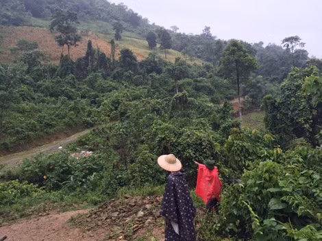 Địa hình nơi truy tìm đối tượng Tẩn Láo Lở. Địa hình nơi truy tìm đối tượng Tẩn Láo Lở.
