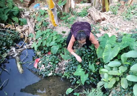 Bà Bản chỉ cho phóng viên khu vực ô nhiễm nặng do nước thải ra từ hồ nghĩa trang Thanh Tước.