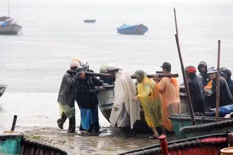 Ngư dân Đà Nẵng khẩn trương di dời tàu thuyền và các phương tiện vào bờ để tránh bão.