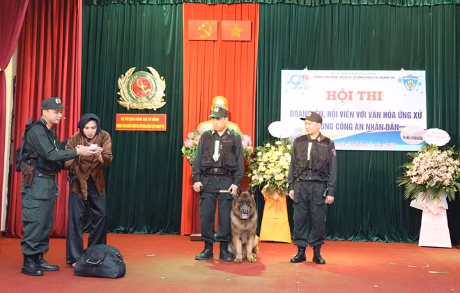 Hình ảnh tại cuộc thi.