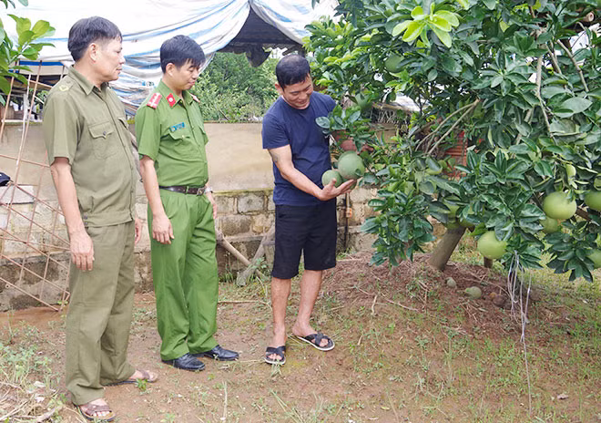 Anh Ngô Văn Huy (xã Văn Lý, huyện Lý Nhân) giới thiệu về mô hình VAC của gia đình.