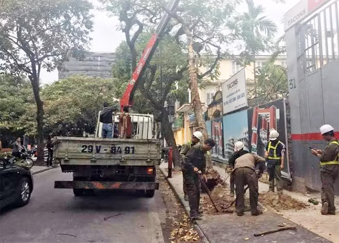 Hiện trường vụ việc Hiện trường vụ việc