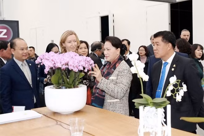 Chủ tịch Quốc hội Nguyễn Thị Kim Ngân thăm Trung tâm nông nghiệp công nghệ cao tại Westland. (Ảnh: Trọng Đức/TTXVN).