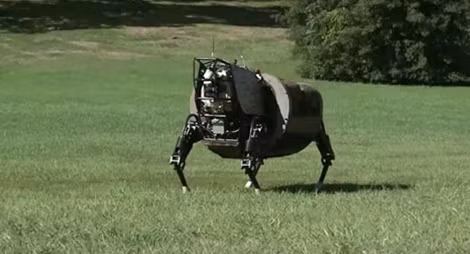 Robot Rys.