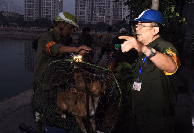 Hiện nay, Hà Nội đã thí điểm mô hình bắt chó thả rông không rọ mõm.