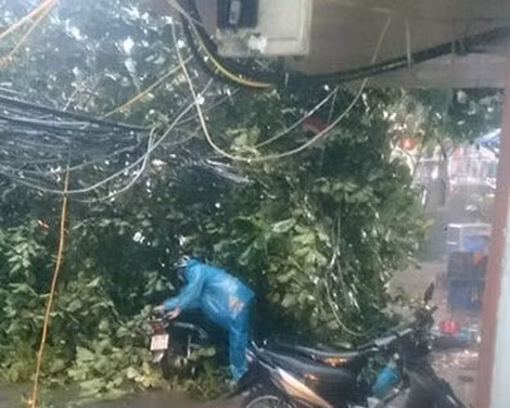 Một người dân đang "bới tìm" chiếc xe máy trong đám cây đổ.