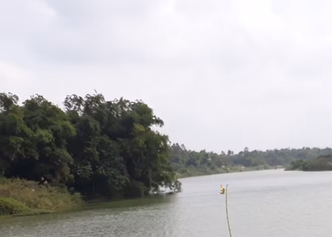 Hình minh họa