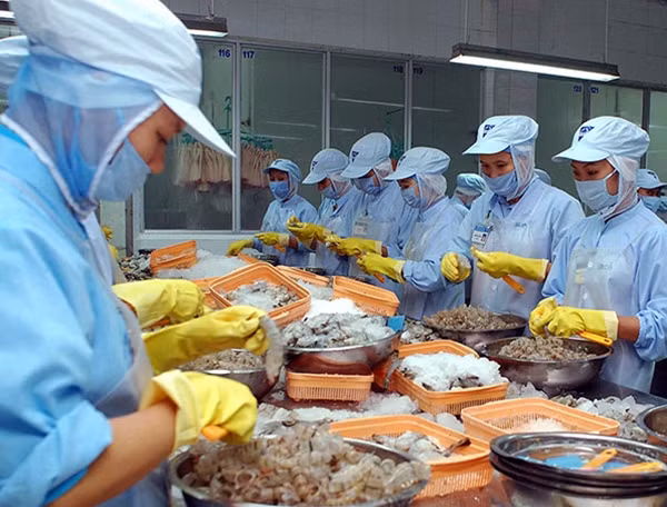 Vòng xoáy giảm giá đối với nông, lâm, thuỷ sản được dự báo sẽ tiếp tục trong nửa đầu 2016.
