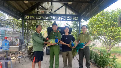 Công an xã vận động người dân tự nguyện giao nộp 9 cá thể công quý hiếm