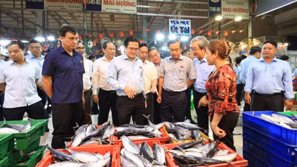 Kỳ 2: Nhận diện “lỗ hổng” quản lý và những khoảng trống nghĩa vụ