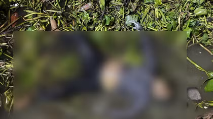 Truy tìm tung tích nạn nhân tử vong dưới chân cầu Thủ Thiêm