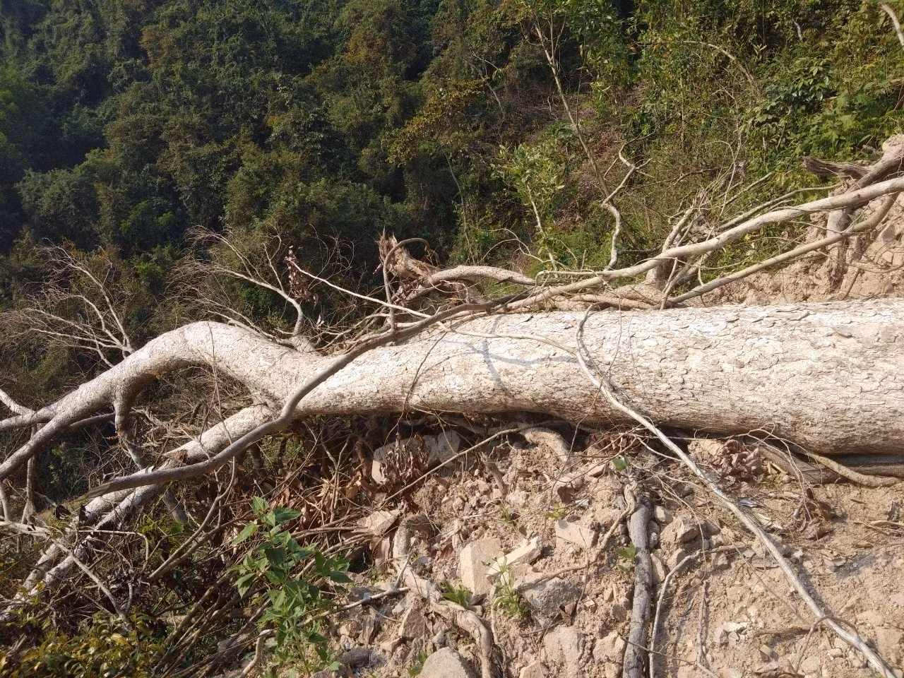 drtayson6.jpg