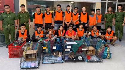 Triệt phá đường dây trộm cắp, tiêu thụ hàng nghìn con mèo tại TP Hồ Chí Minh