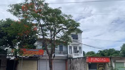 Bài 1: Sức sống mới ở An Khánh