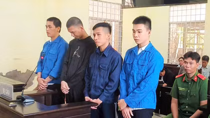 Hơn 28 năm tù cho nhóm đối tượng góp tiền mua “hàng đá” 