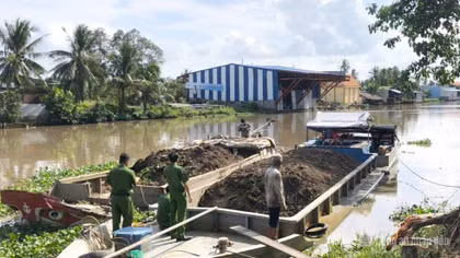 Tăng cường chống khai thác đất trái phép tại Cà Mau 
