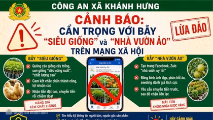 Cảnh giác thủ đoạn lừa bán “siêu giống” trên mạng xã hội