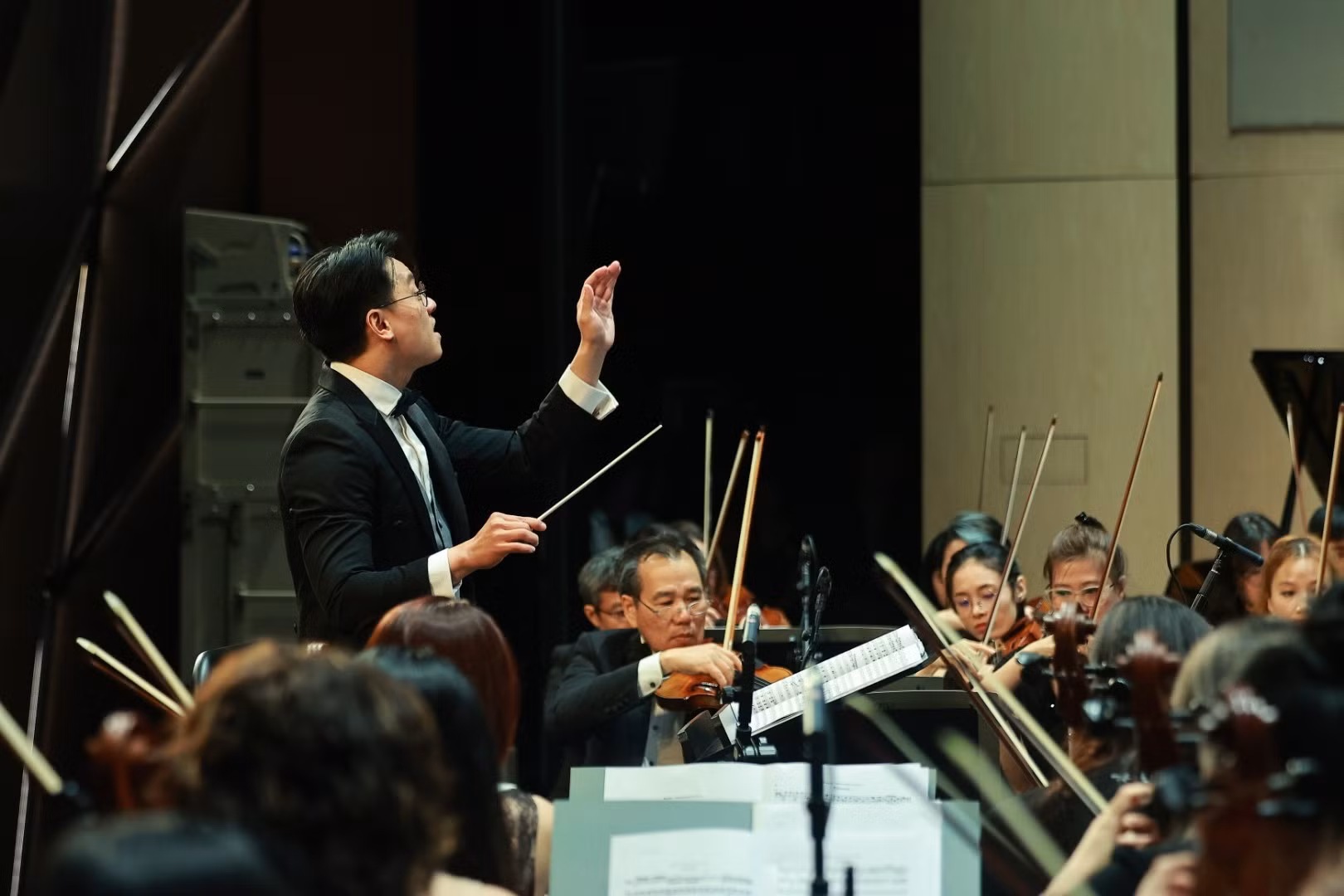 hgo08294.jpg