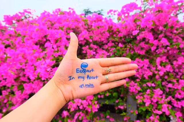 Những hình ảnh check-in “siêu chất” tại Ecopark gây “bão” cộng đồng mạng - Ảnh 8.