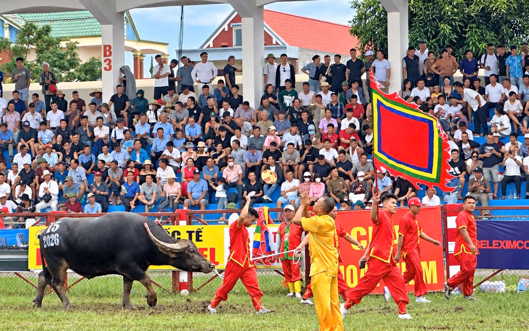 tu-ket-choi-trau-2172.jpg