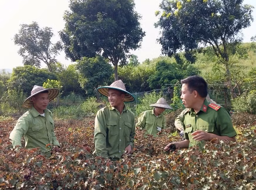 05-hoc-vien-trung-tam-cai-nghien-lao-dong-san-xuat.jpg