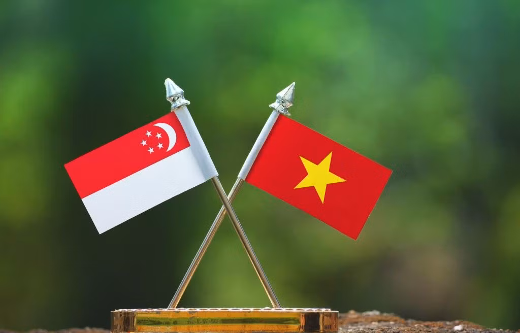 Việt Nam - Singapore: Củng cố tin cậy chính trị, nâng tầm phối hợp chiến lược ảnh 2