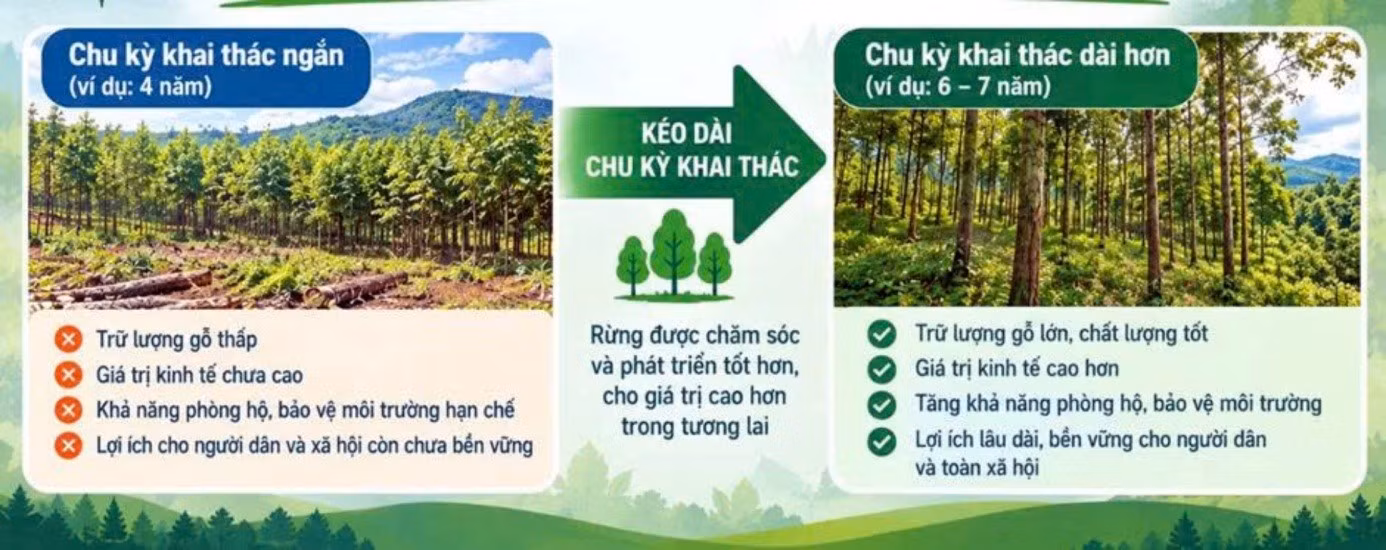 Nguồn lợi được nhận từ chi trả DVMTR kết hợp công tác tuyên truyền phát triển rừng bền vững giúp tăng chu kỳ khai thác của bà con nhằm mang lại hiệu quả tích cực rõ rệt.