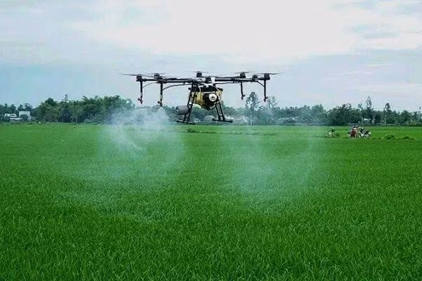 UAV phun thuốc trừ sâu trên cánh đồng.