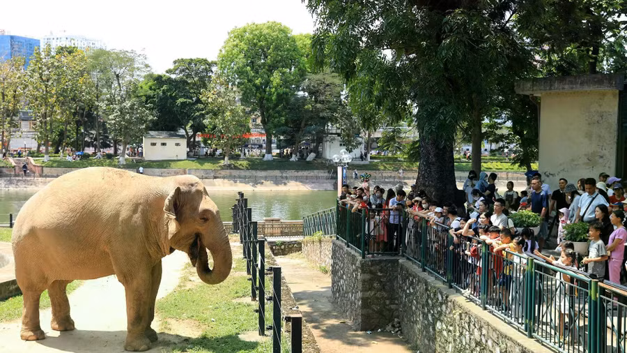 Đề xuất dành 70% diện tích Công viên Thủ Lệ làm không gian mở không thu phí