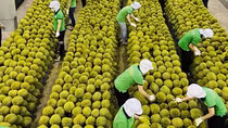 Khai thác lợi thế để xuất khẩu nông sản tươi vào thị trường tiềm năng
