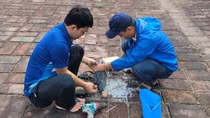 Sửa chữa, thay mới hàng loạt cụm đèn chiếu sáng tại Kỳ đài Huế do bị kẻ gian đập phá
