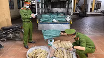 Chặn giữ hơn nửa tấn lòng lợn bốc mùi hôi thối trên đường đi tiêu thụ