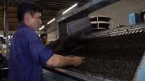 Cảnh báo tình trạng dùng hóa chất nhuộm chè xuất khẩu