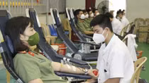 Nơi gửi gắm những giọt máu nghĩa tình