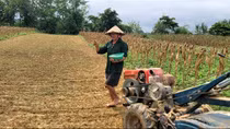 Ám ảnh làng "trời đánh"