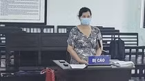 Tổng Giám đốc 2 công ty cấu kết, lập khống hồ sơ chiếm đoạt hàng chục tỷ đồng của ngân hàng