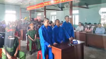 Hình phạt thích đáng cho những kẻ phá rừng mà Báo CAND đã phản ánh