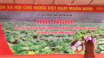 Xúc tiến tiêu thụ bí xanh thơm Ba Bể