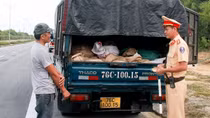 Tuần tra, phân luồng, đảm bảo ATGT dịp nghỉ lễ Quốc khánh