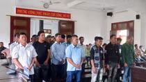 Tuyên án 27 bị cáo trong vụ phá rừng Hòn Đót ở Phú Yên